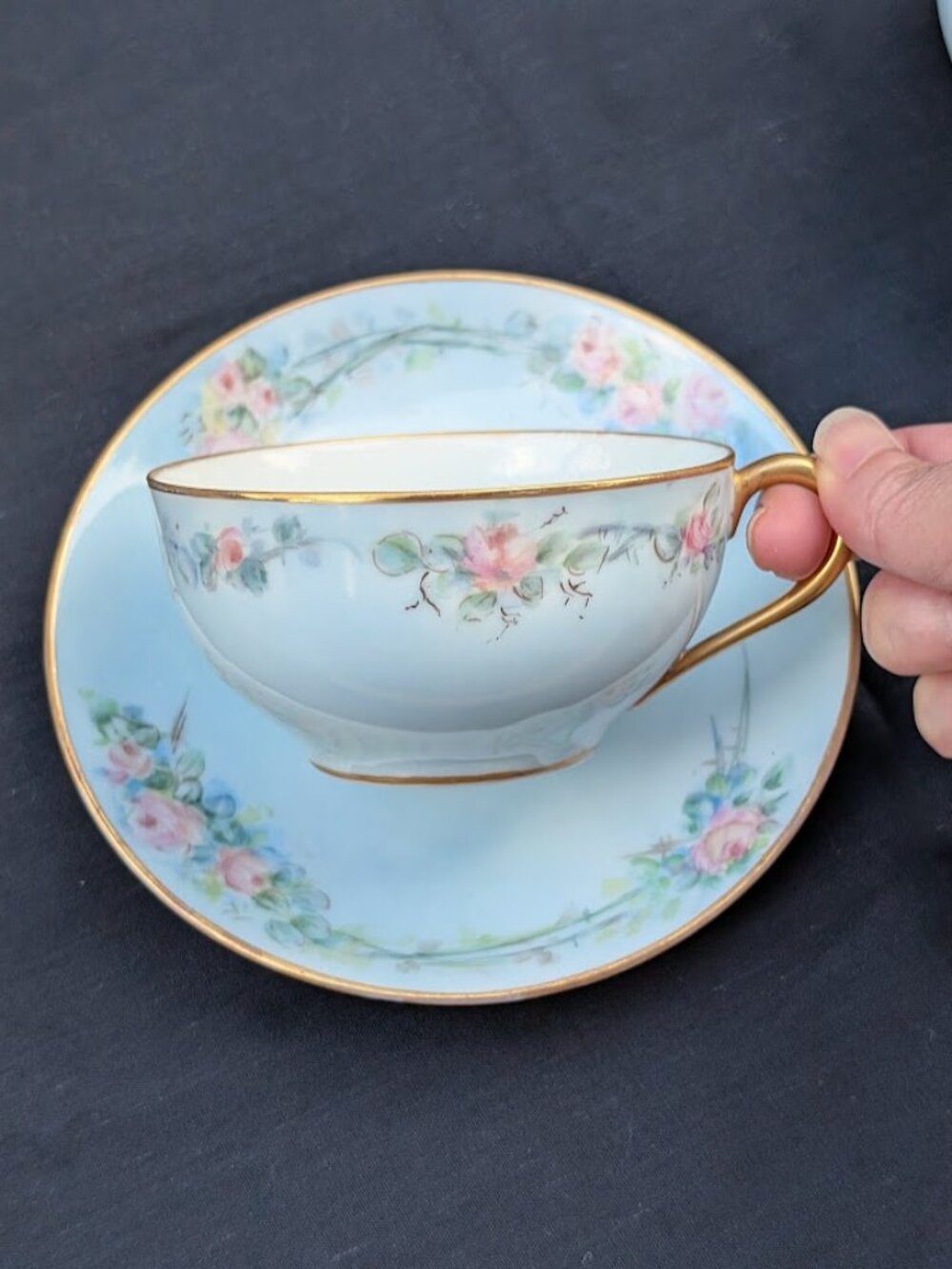 Vintage Hand Painted Pink Roses Porcelain Teacup & Saucer Nippon